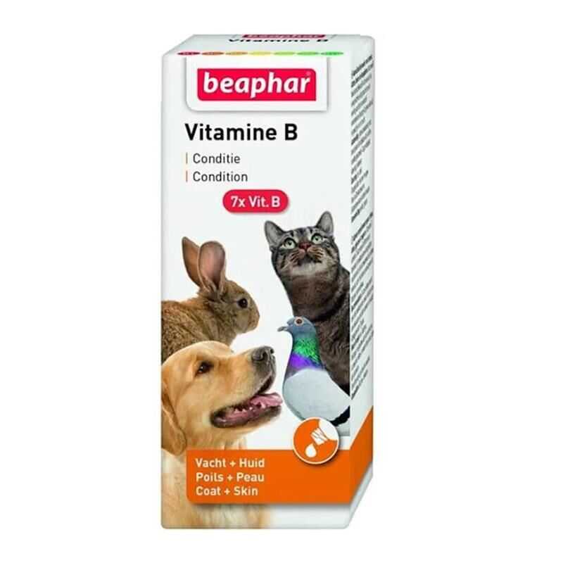 Beaphar Kaşıntı Önleyici Köpek Şampuanı 250 Ml - Thumbnail