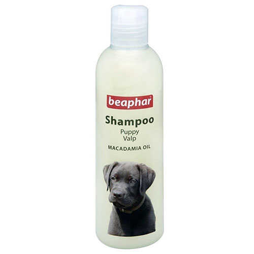 Beaphar Macadamia Yağlı Tüy Onarıcı Yavru Köpek Şampuanı 250 ml