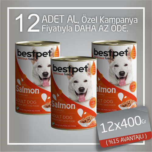 Bestpet Somonlu Jöleli Yetişkin Köpek Konservesi 12x400 Gr