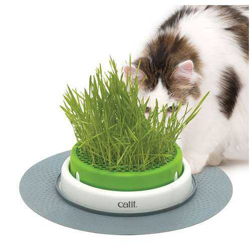 Catit Senses 20 Grass Planter - Thumbnail