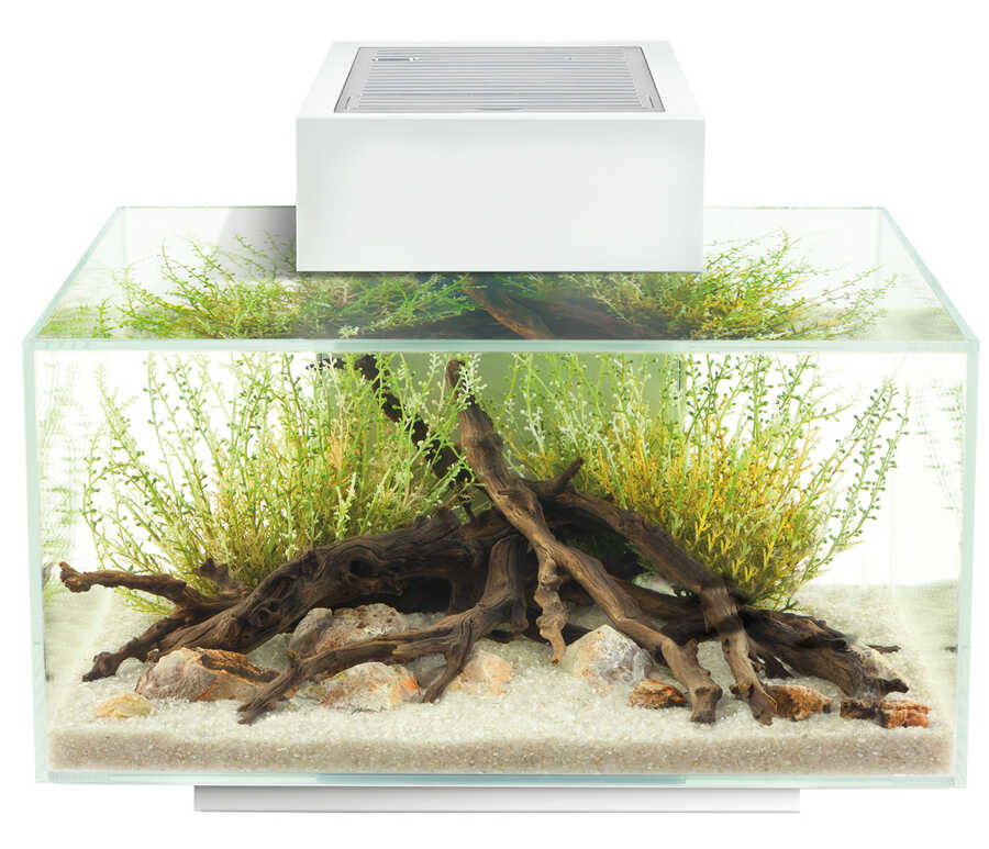 Fluval Edge2 Beyaz 23 L Akvaryum - Thumbnail