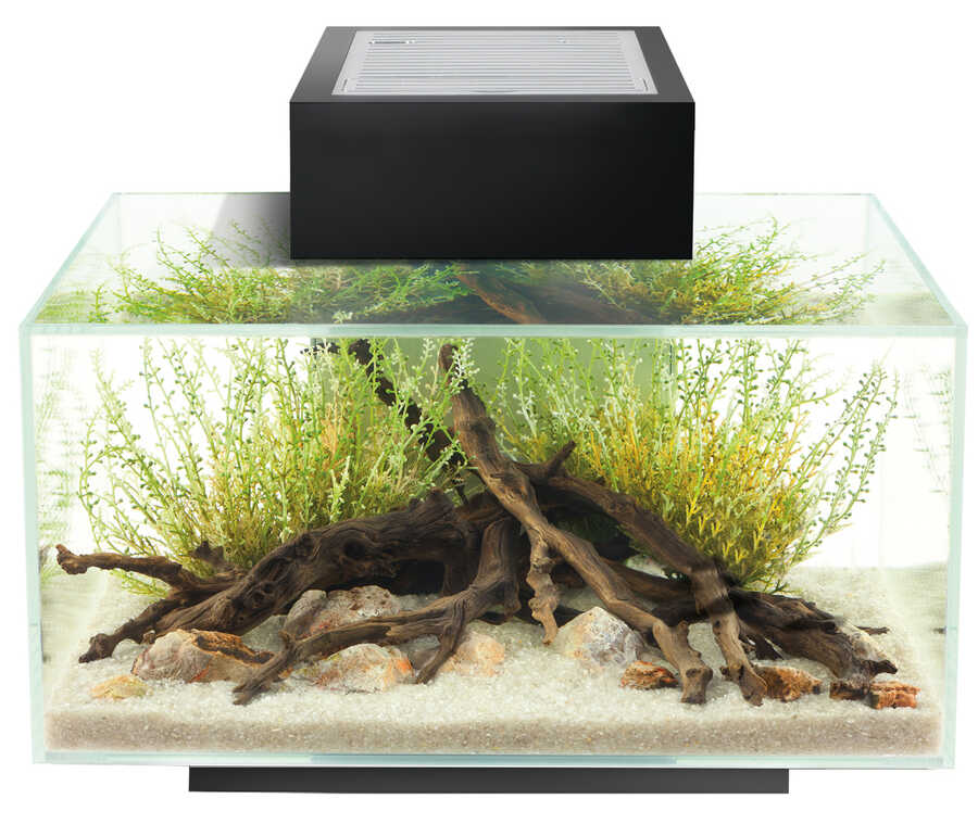 Fluval Edge2 Beyaz 23 L Akvaryum - Thumbnail