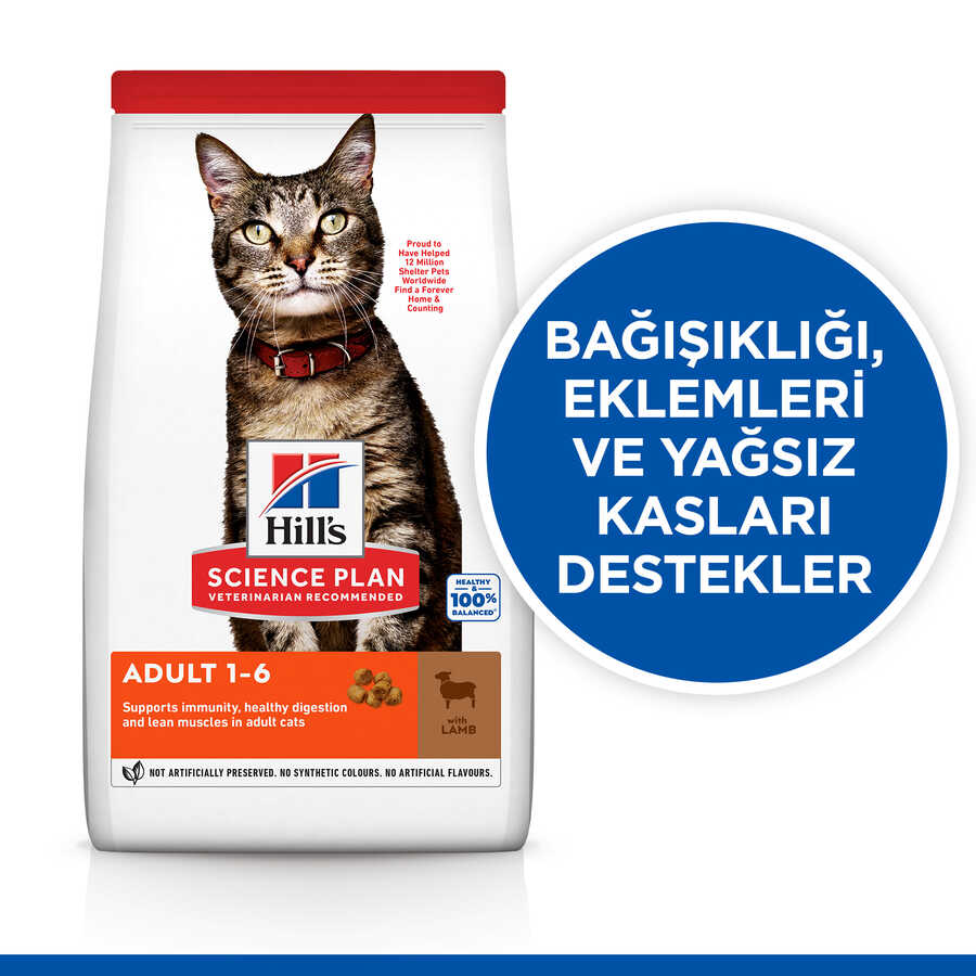 Hills Adult Kuzu Etli Yetişkin Kedi Maması 3 Kg - Thumbnail