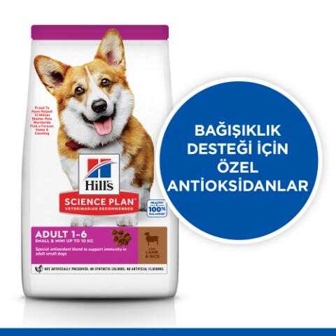 Hills Adult Small Küçük Irk Kuzulu Yetişkin Köpek Maması 6 Kg - Thumbnail