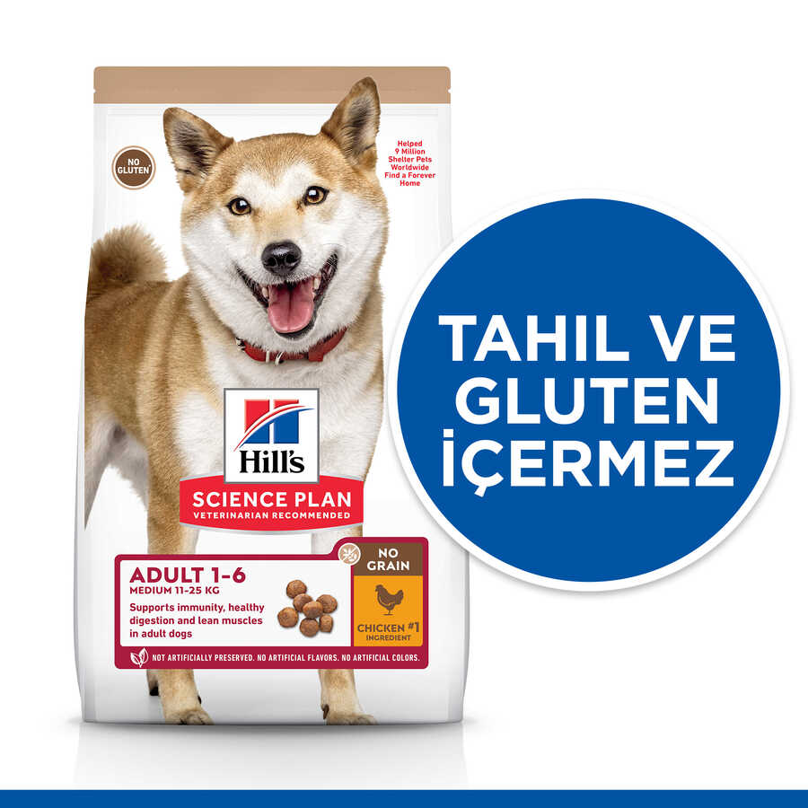 Hills Tavuklu Orta Irk Tahılsız Yetişkin Köpek Maması 12 Kg - Thumbnail