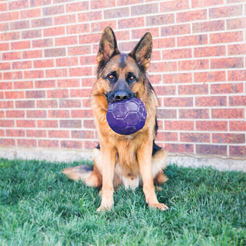 Kong Köpek Flexball M & L Köpek Oyun Topu - Thumbnail