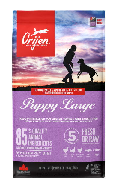 Orijen Puppy Large Tahılsız Tavuklu Yavru Köpek Maması 11,4 Kg - Thumbnail