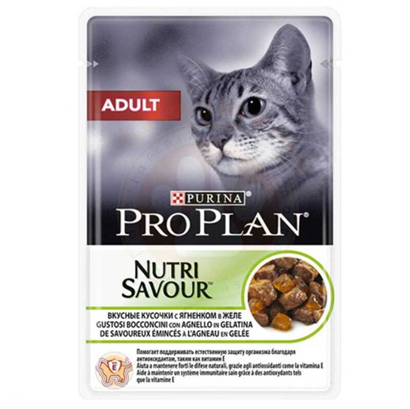 Pro Plan Kuzu Etli Yetişkin Pouch Konserve 85 Gr