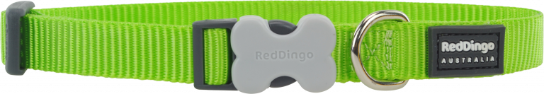 Reddingo Klasik Lime Köpek Boyun Tasması S 15mm 24-36 cm