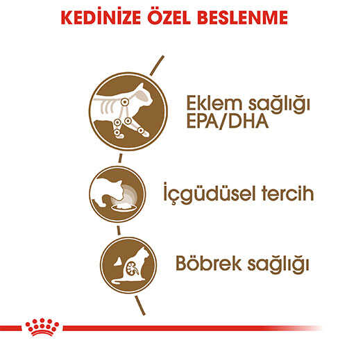 Royal Canin Ageing +12 Gravy Pouch Yaşlı KediKonservesi 85 Gr - Thumbnail