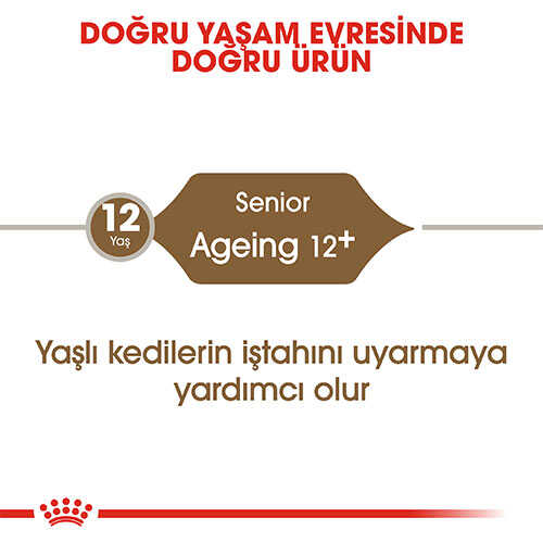 Royal Canin Ageing +12 Yaş Üzeri Yaşlı Kedi Maması 2 kg - Thumbnail