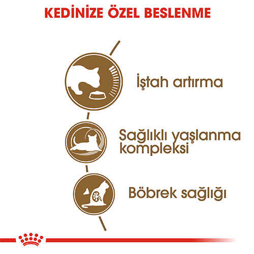 Royal Canin Ageing +12 Yaş Üzeri Yaşlı Kedi Maması 2 kg - Thumbnail