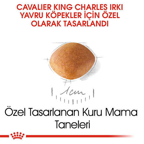 Royal Canin Cavalier King Charles Junior Yavru Köpek Maması 1,5 Kg - Thumbnail