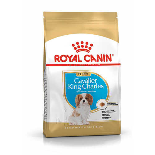 Royal Canin Cavalier King Charles Junior Yavru Köpek Maması 1,5 Kg - Thumbnail