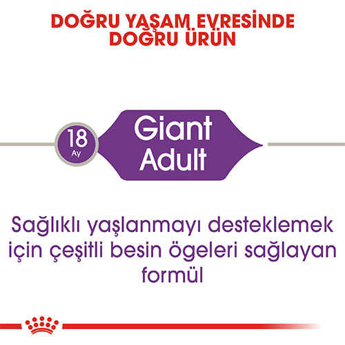 Royal Canin Giant Adult Dev Irk Yetişkin Köpek Maması 15 Kg - Thumbnail