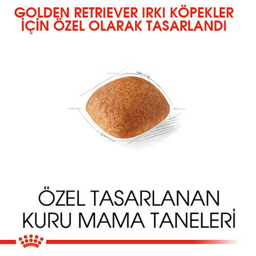 Royal Canin Golden Retriever Yetişkin Köpek Maması 12 Kg - Thumbnail