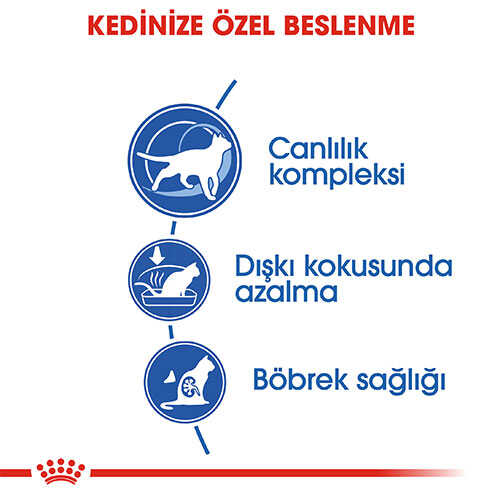 Royal Canin İndoor 7+ Yaşlı Kedi Maması 1,5 Kg - Thumbnail