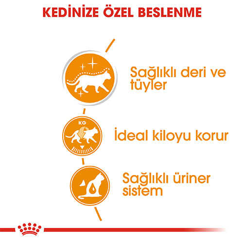 Royal Canin Hair & Skin Gravy Pouch Kedi Maması 85 Gr - Thumbnail