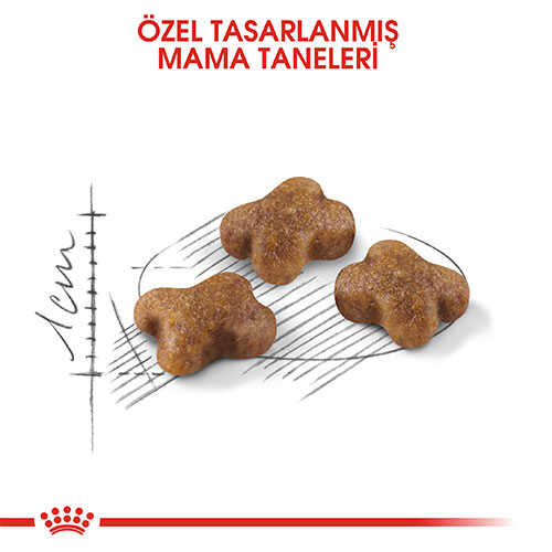 Royal Canin Kitten Yavru Kedi Maması 2 Kg - Thumbnail