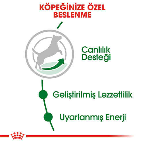 Royal Canin Mini Adult 8+ Küçük Irk Yaşlı Köpek Maması 2 Kg - Thumbnail