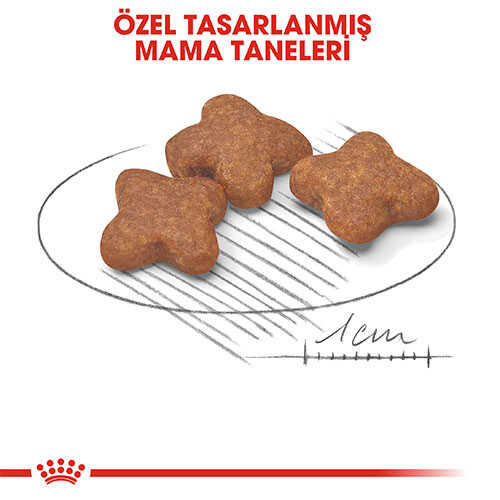 Royal Canin Mini Adult 8+ Küçük Irk Yaşlı Köpek Maması 2 Kg - Thumbnail