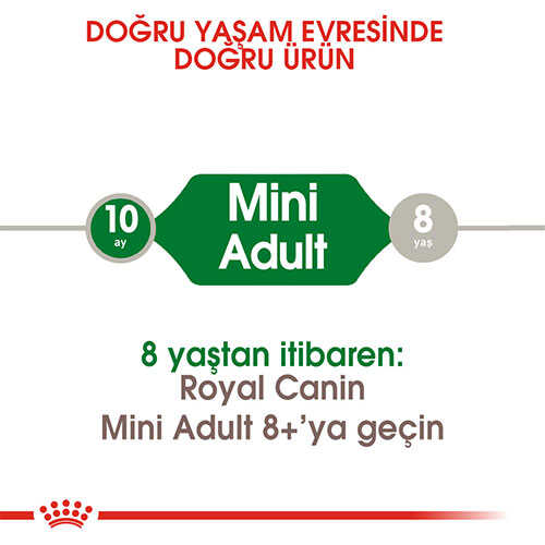 Royal Canin Mini Adult Küçük Irk Yetişkin Köpek Maması 4 Kg - Thumbnail