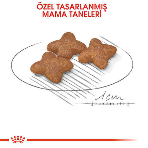 Royal Canin Mini Adult Küçük Irk Yetişkin Köpek Maması 4 Kg - Thumbnail