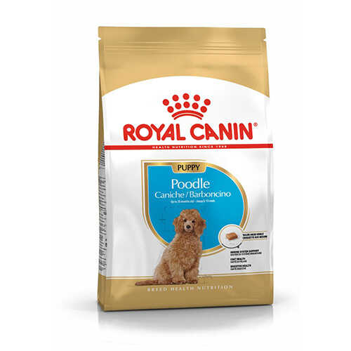 Royal Canin Poodle Junior Yavru Köpek Maması 3 Kg - Thumbnail