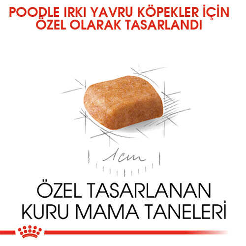 Royal Canin Poodle Junior Yavru Köpek Maması 3 Kg - Thumbnail