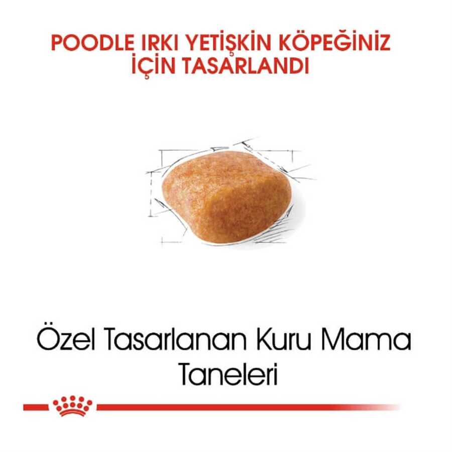 Royal Canin Poodle Yetişkin Köpek Maması 3 Kg - Thumbnail