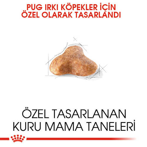 Royal Canin Pug Adult Yetişkin Köpek Maması 1,5 Kg - Thumbnail