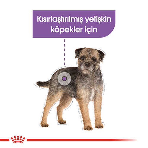 Royal Canin Sterilised Pouch Konserve Köpek Maması 85 Gr - Thumbnail