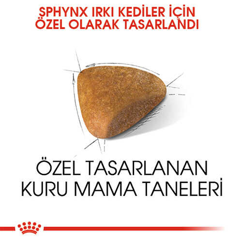 Royal Canin Tüysüz Sphynx Cinsi Yetişkin Kedi Maması 2 Kg - Thumbnail