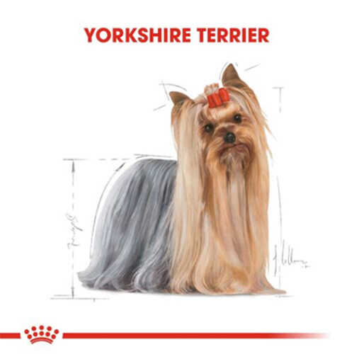 Royal Canin Yorkshire Terrier Adult Yetişkin Köpek Maması 1,5 Kg - Thumbnail