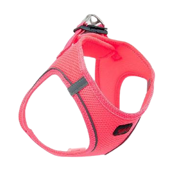 Tailpetz Air Mesh Köpek Göğüs Tasması (L) Neon Pembe