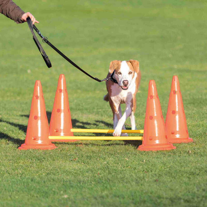 Trixie Köpek Agility Oyuncağı 2 Ad 30X50cm 100cm - Thumbnail